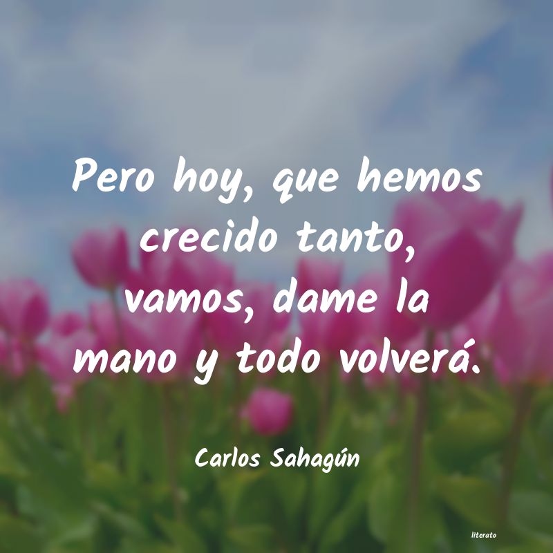 Frases de Carlos Sahagún