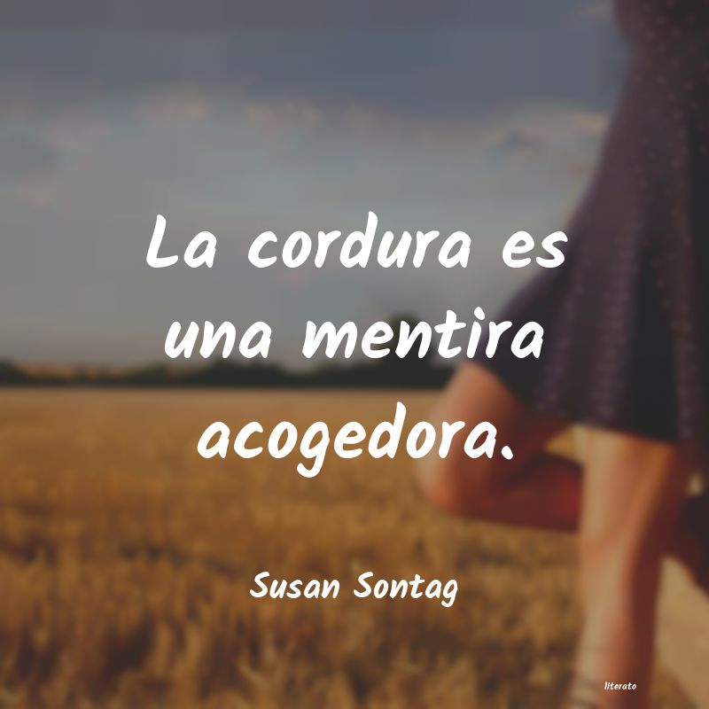 Frases de Susan Sontag