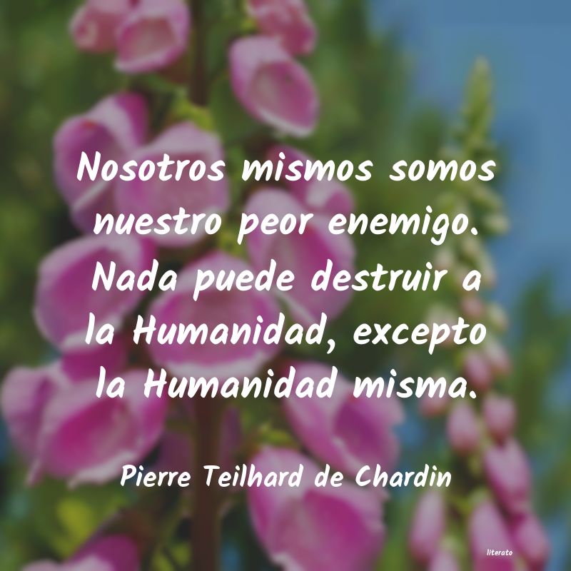 frases de Pierre Teilhard de Chardin