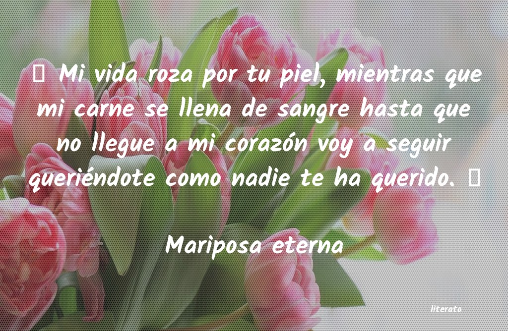 Frases de Mariposa eterna