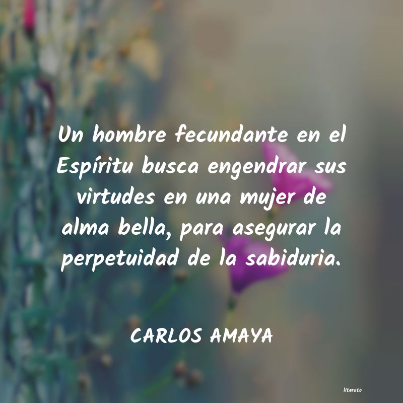 Frases de CARLOS AMAYA