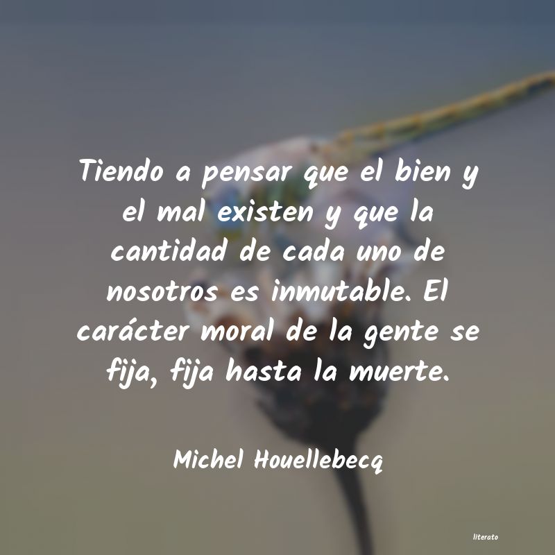frases de Michel Houellebecq