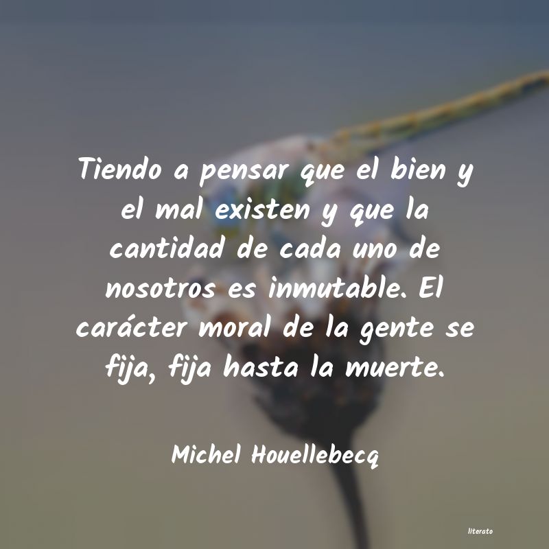 Frases de Michel Houellebecq