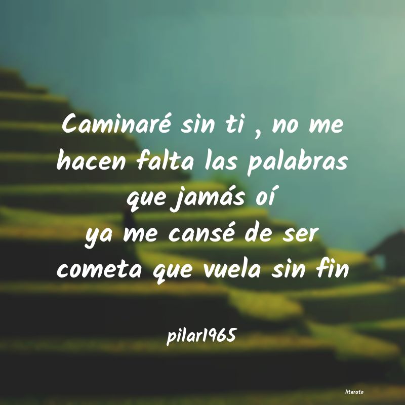 Frases de pilar1965