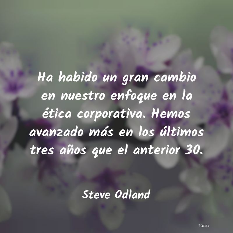 frases de Steve Odland