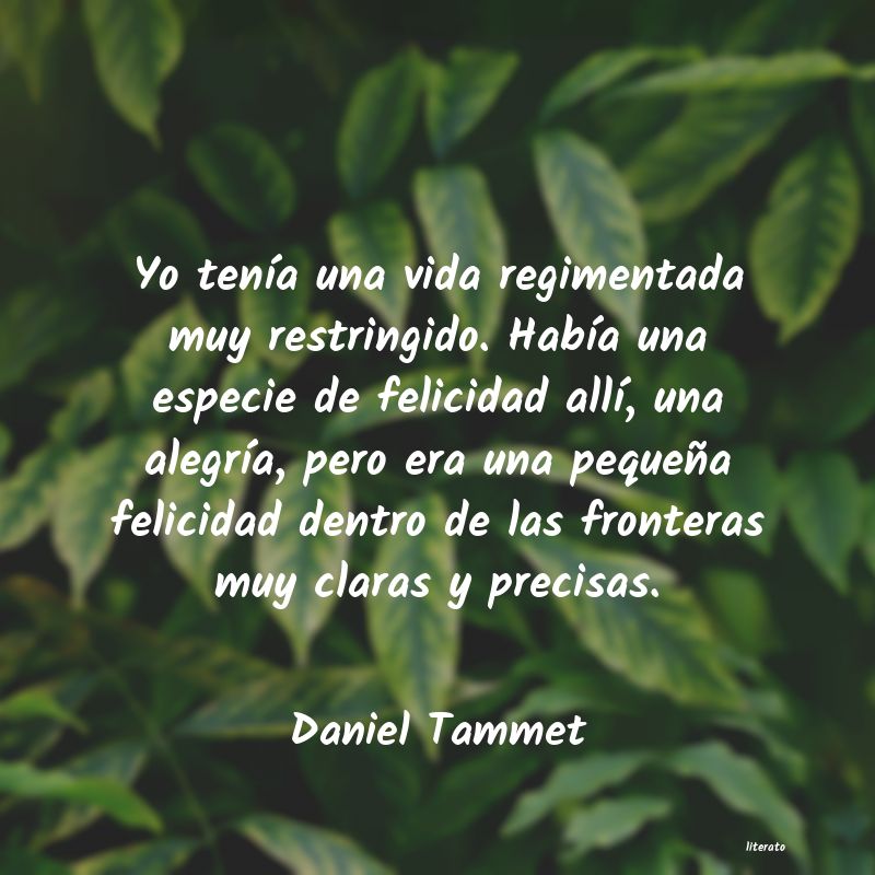 Frases de Daniel Tammet