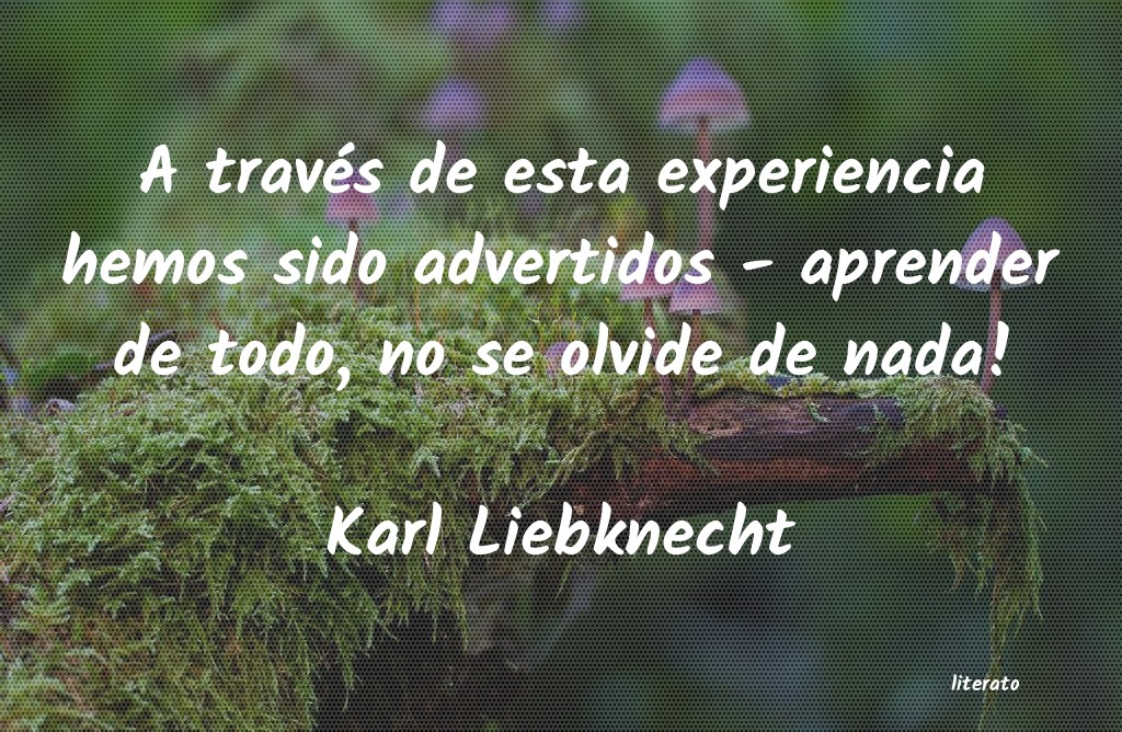 frases de Karl Liebknecht
