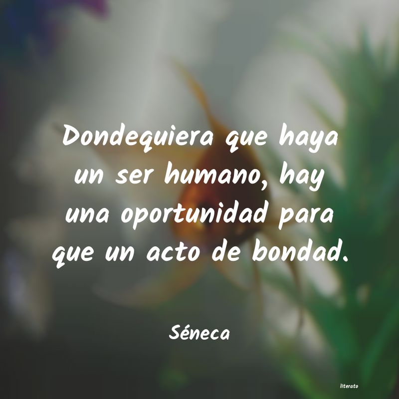 frases de Séneca