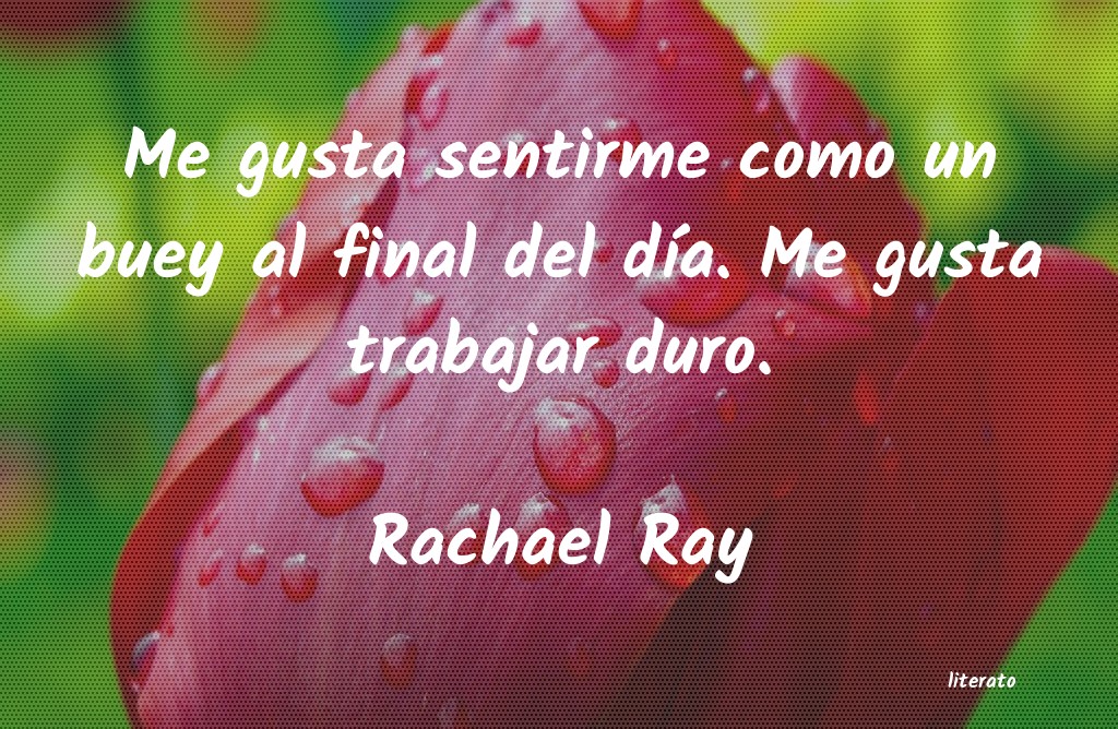 frases de Rachael Ray