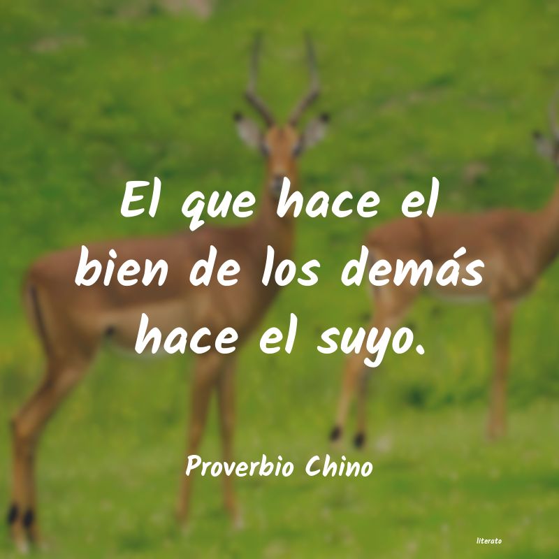 frases de Proverbio Chino