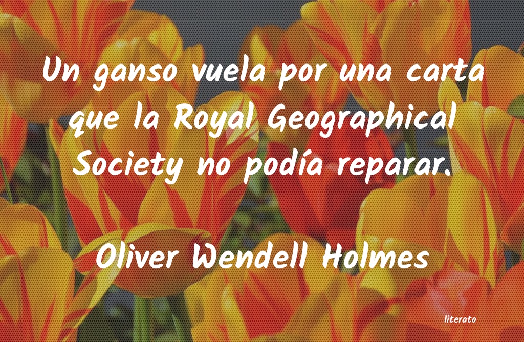 frases de Oliver Wendell Holmes