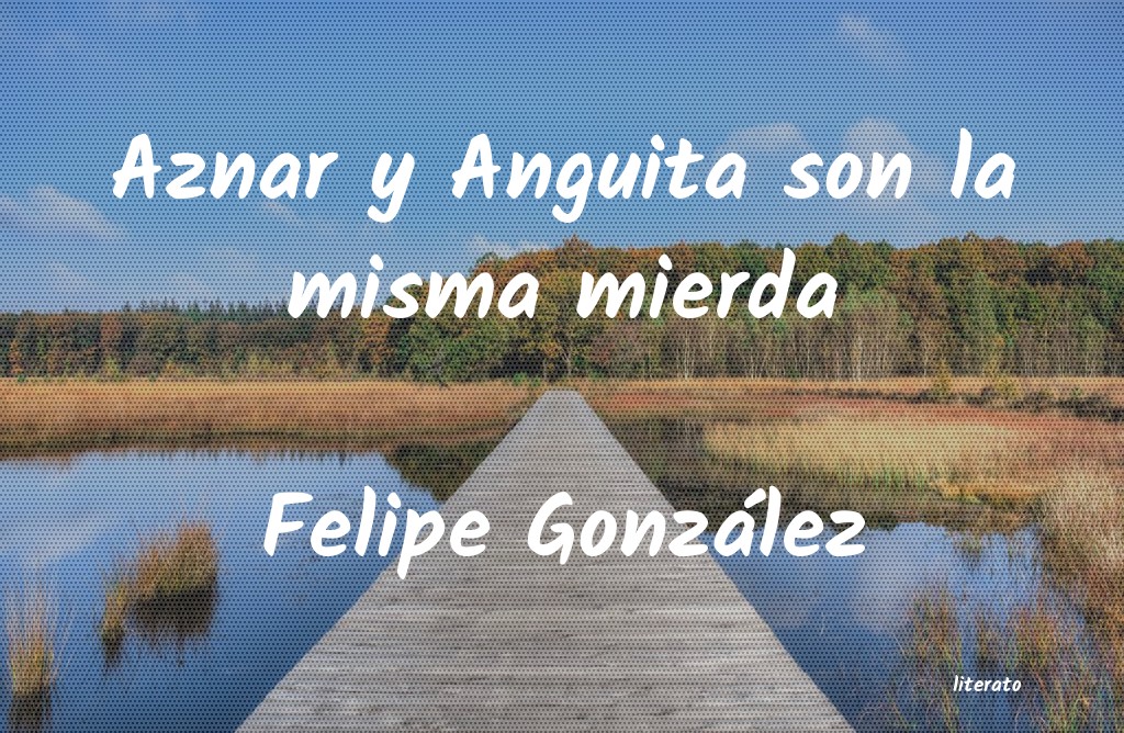 Frases de Felipe González