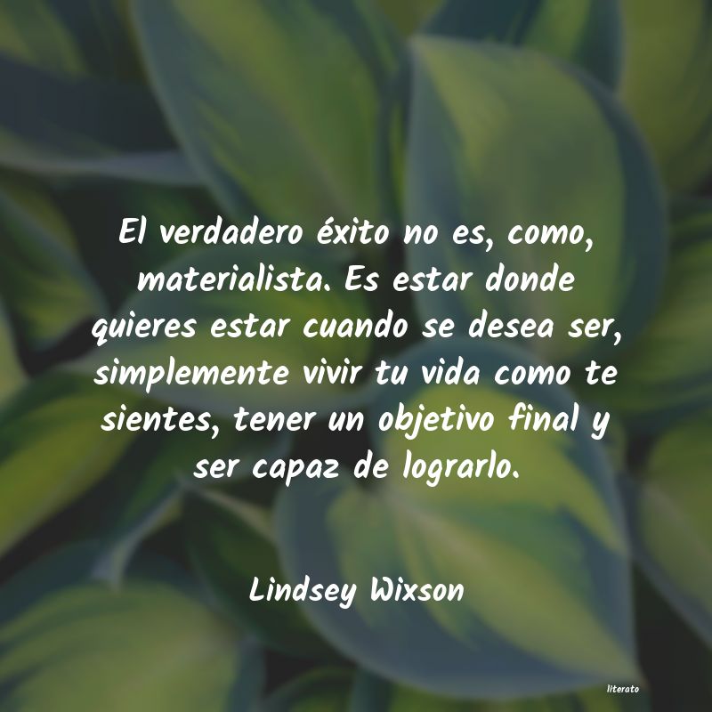 Frases de Lindsey Wixson