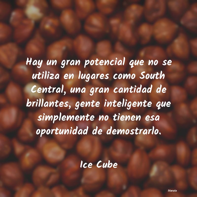 Frases de Ice Cube