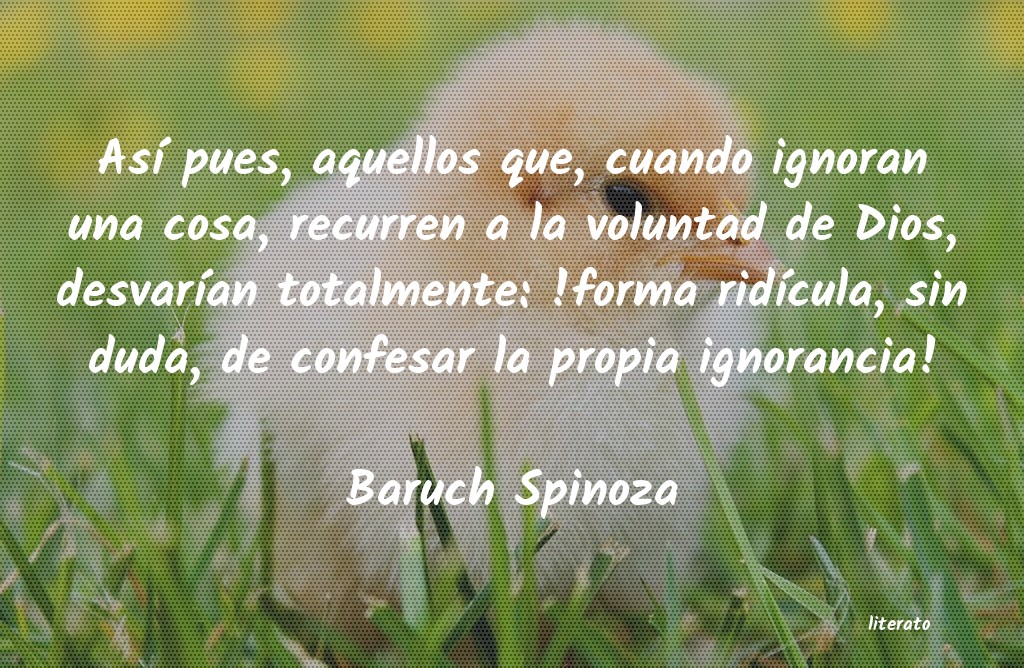 Frases de Baruch Spinoza