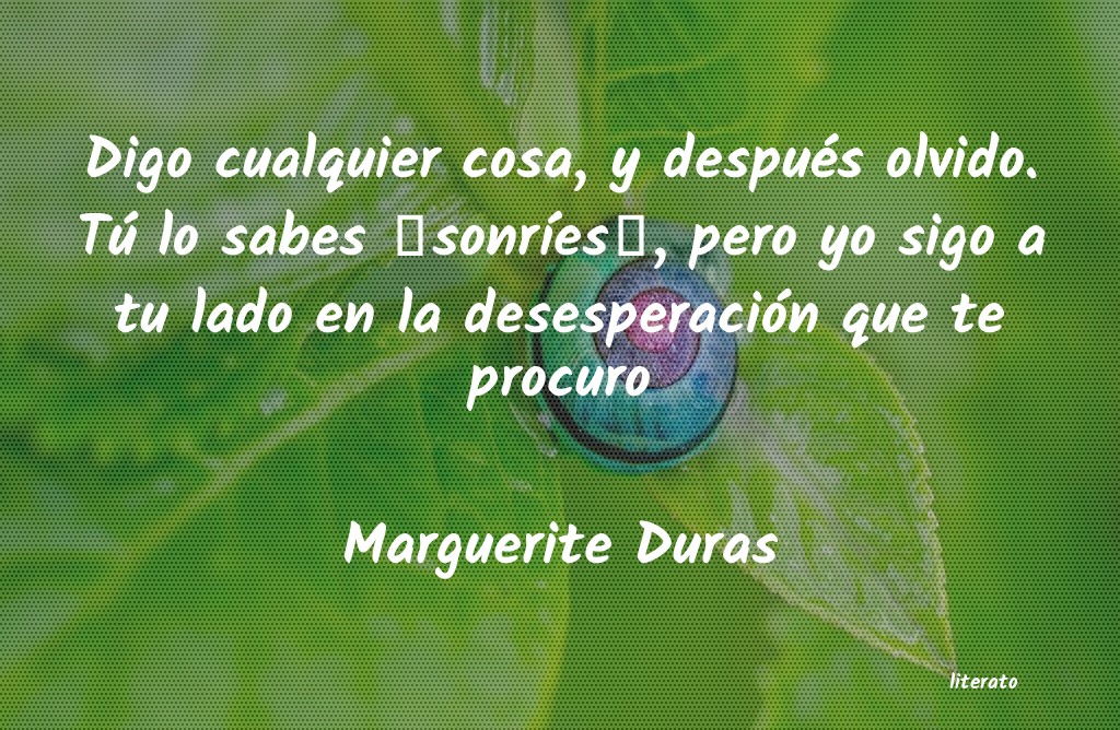 Frases de Marguerite Duras