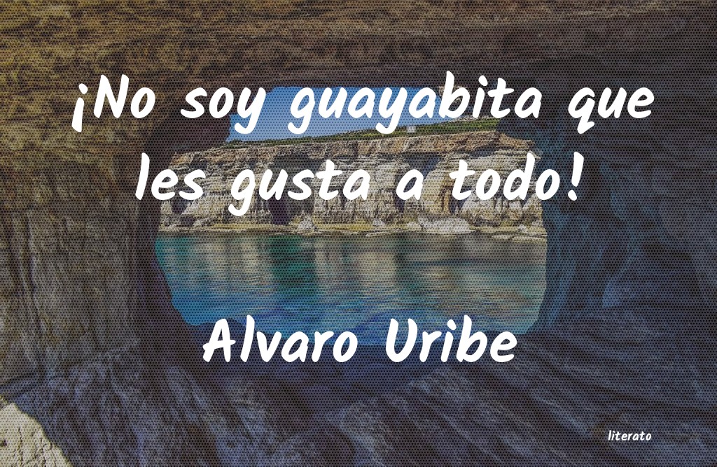 Frases de Alvaro Uribe