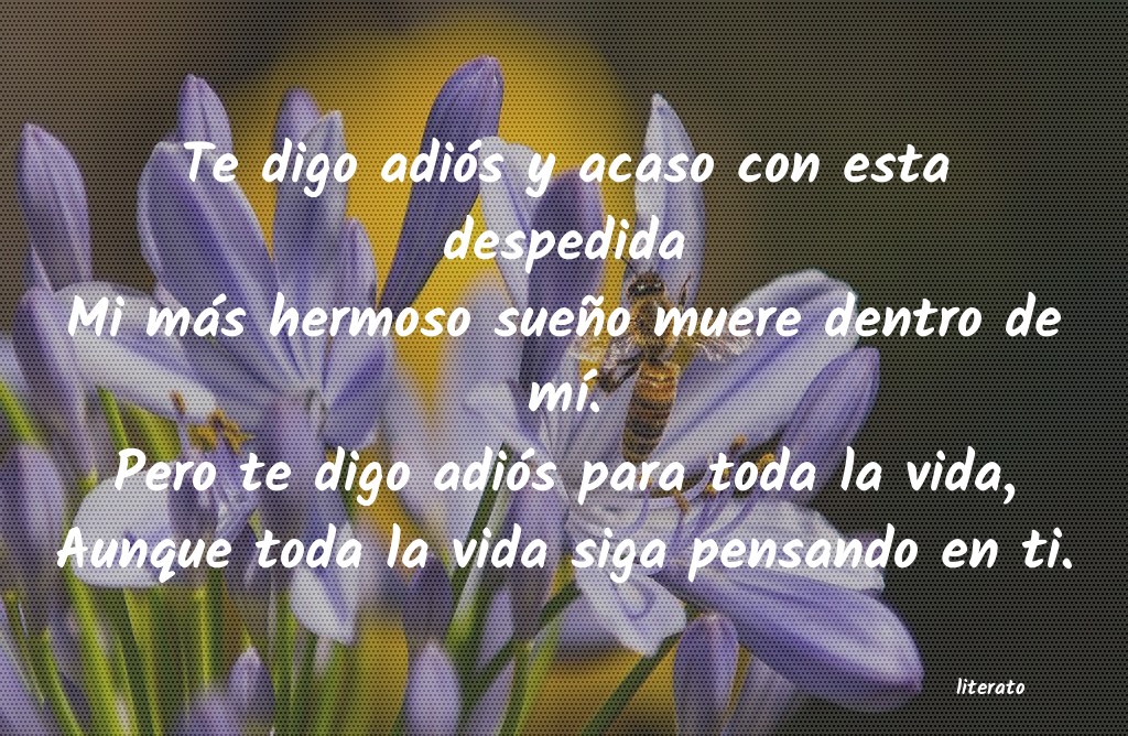 frases para decir adios a un amor