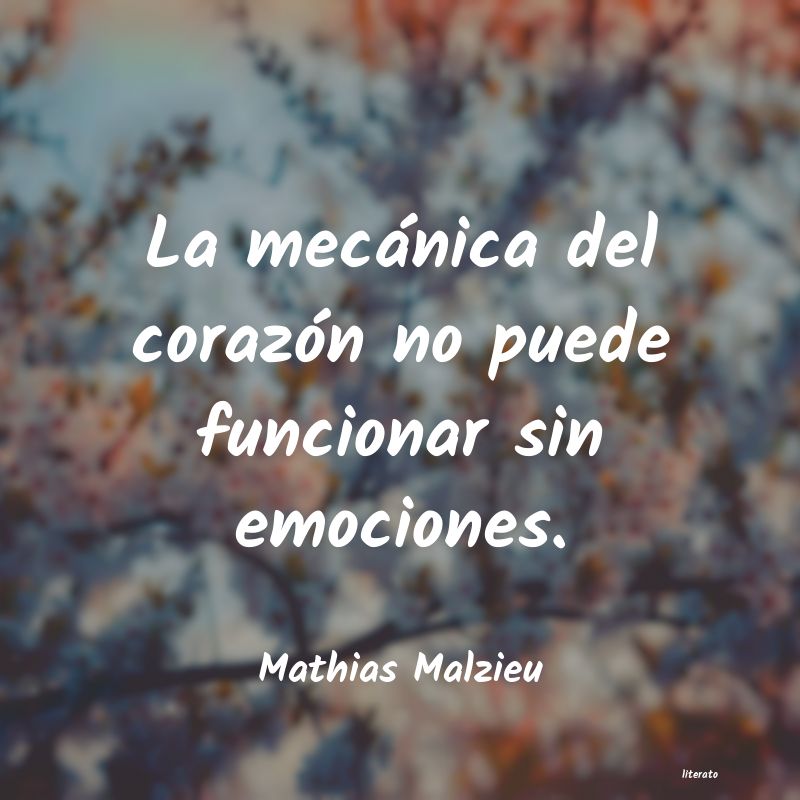 frases de Mathias Malzieu
