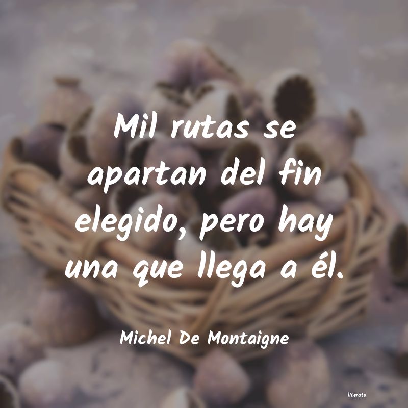 Frases de Michel De Montaigne