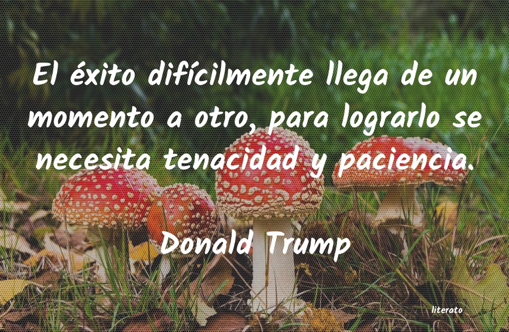 frases de Donald Trump