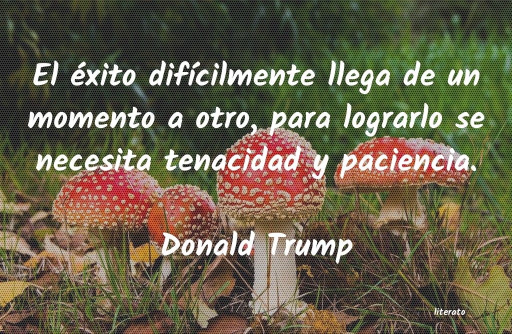 Frases de Donald Trump