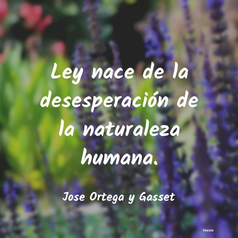 frases de Jose Ortega y Gasset
