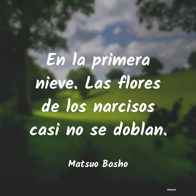 basho