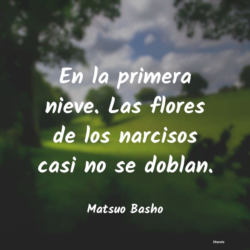 Frases de Matsuo Basho