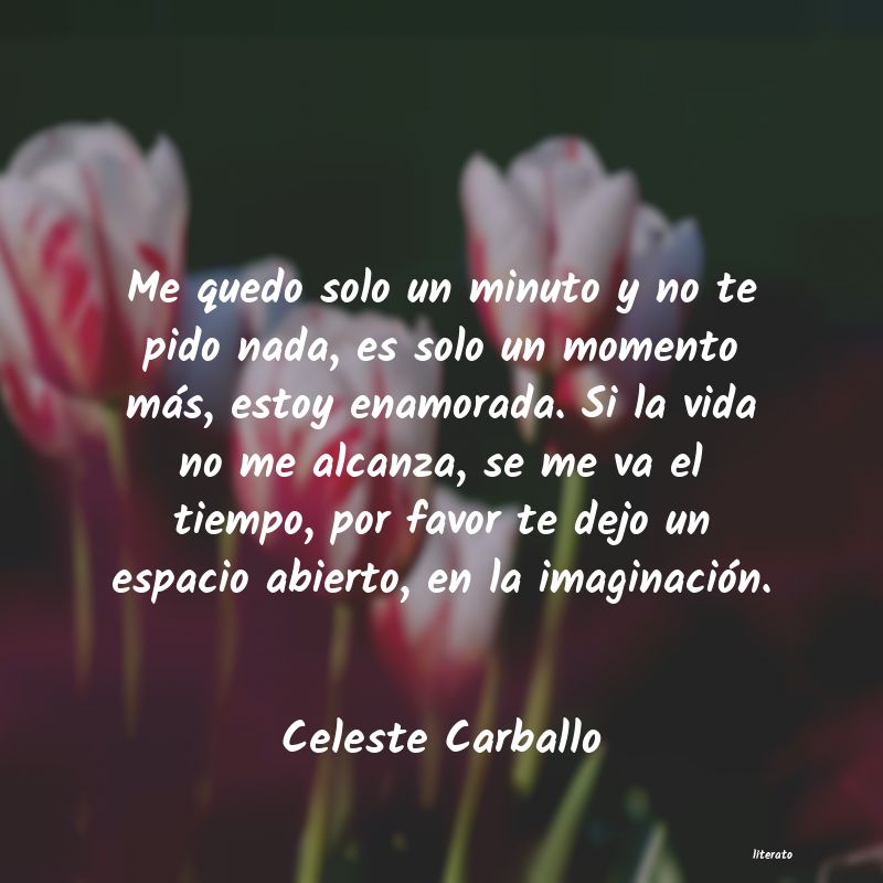 Frases de Celeste Carballo