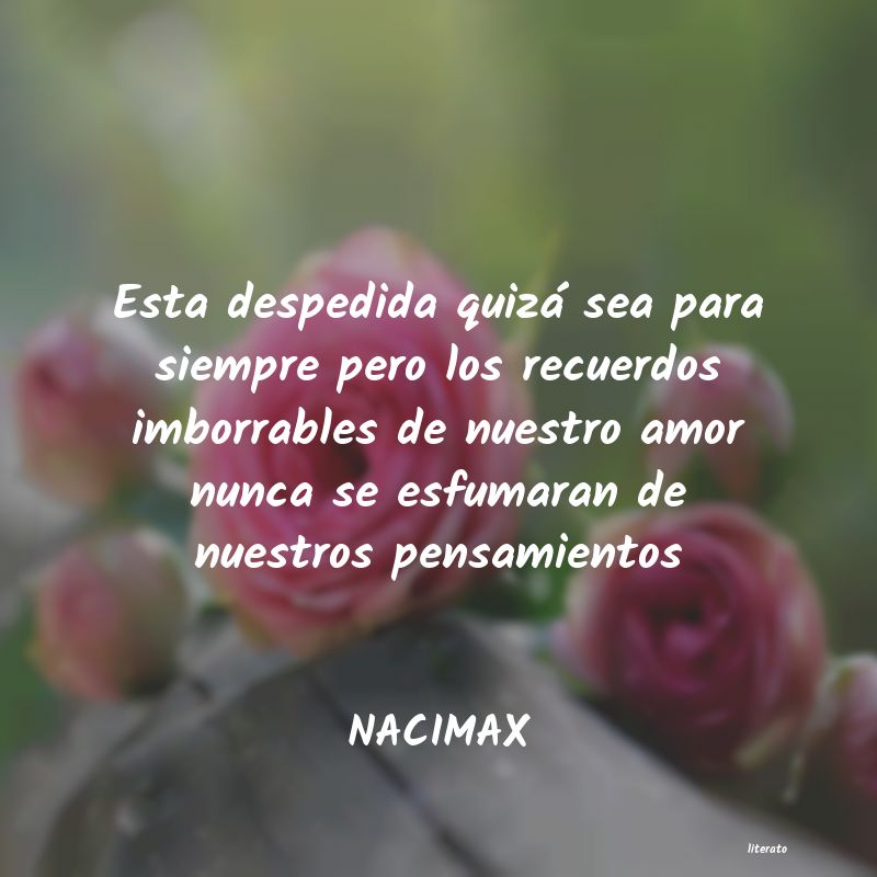 Frases de NACIMAX