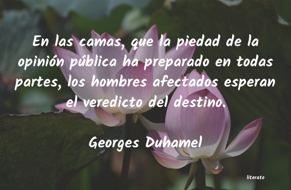 Frases de Georges Duhamel