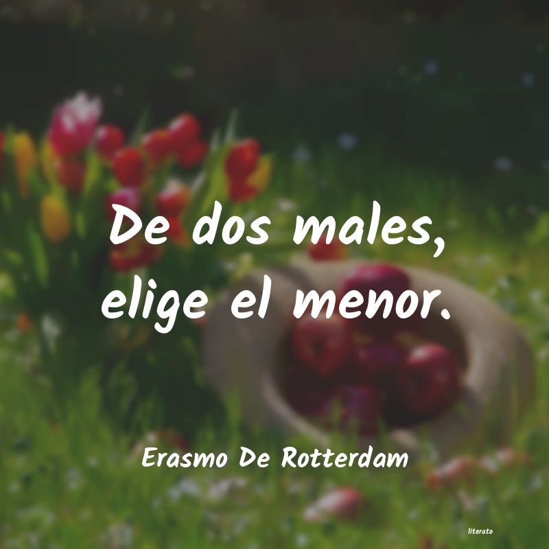frases de Erasmo De Rotterdam