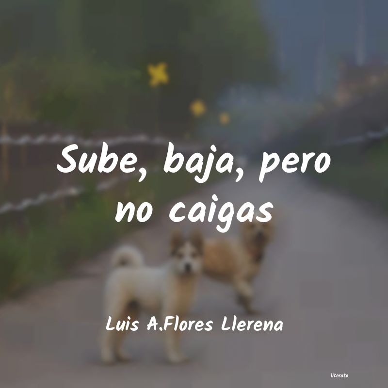 Frases de Luis A.Flores Llerena