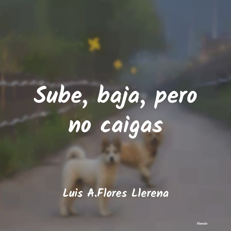 frases de Luis A.Flores Llerena