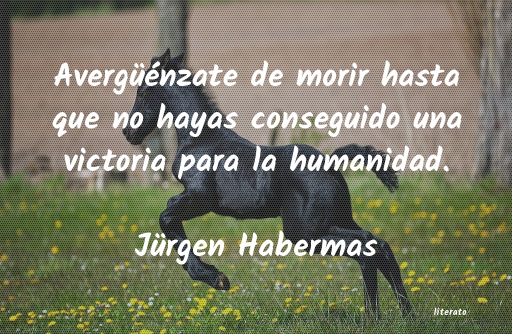 Frases de Jürgen Habermas