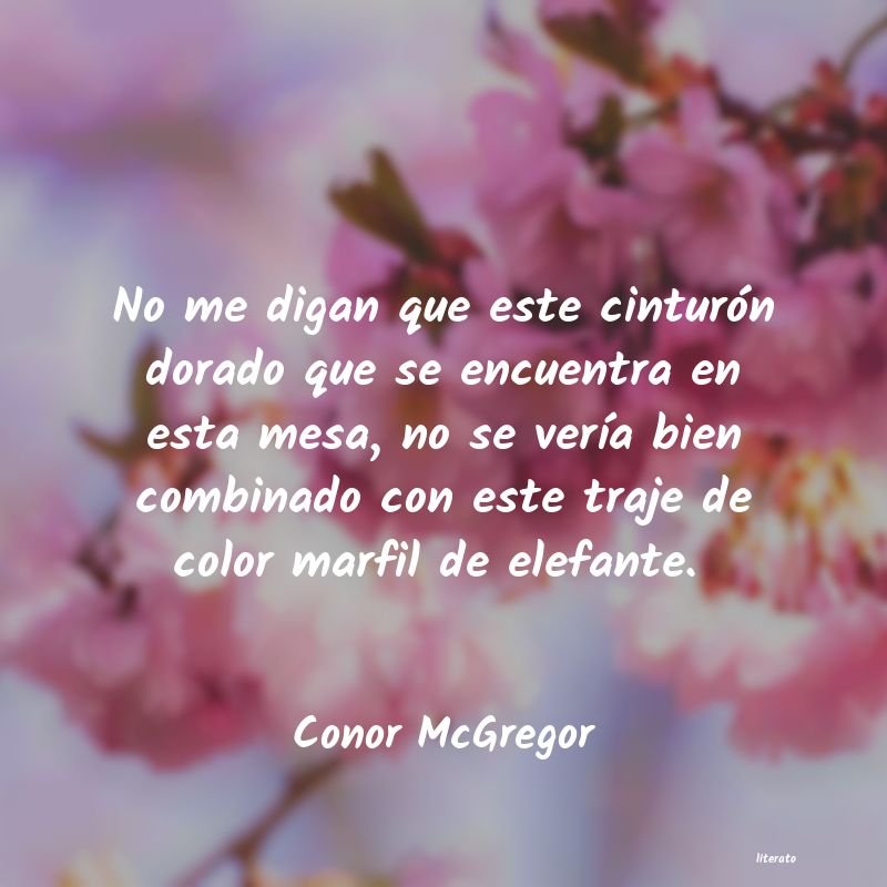 Frases de Conor McGregor