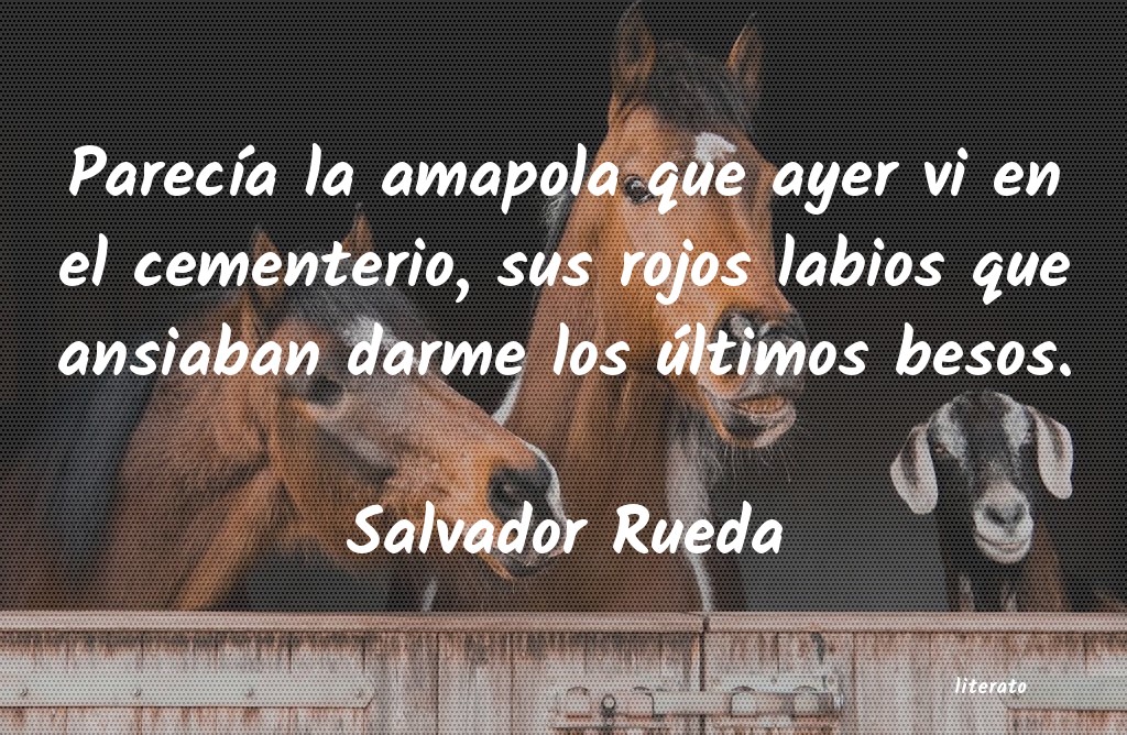 frases de Salvador Rueda