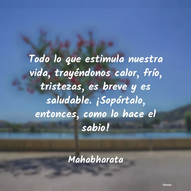 Frases de Mahabharata