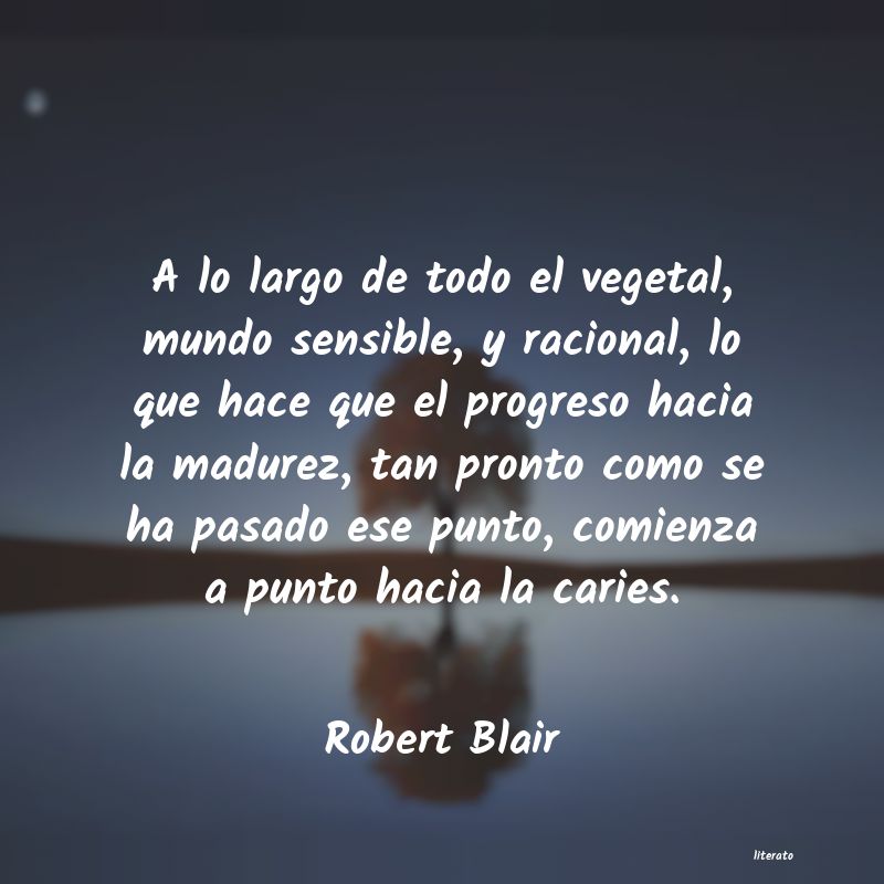 Frases de Robert Blair