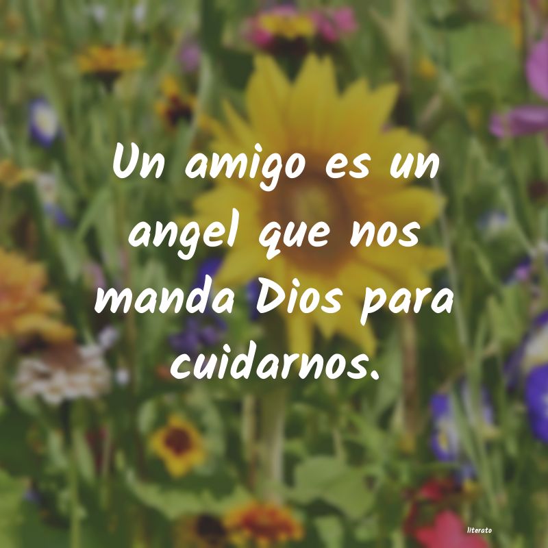frases