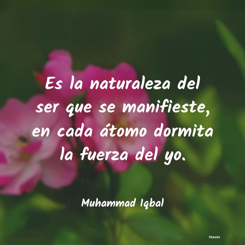 frases de Muhammad Iqbal