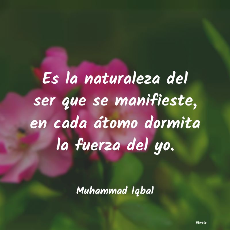 Frases de Muhammad Iqbal