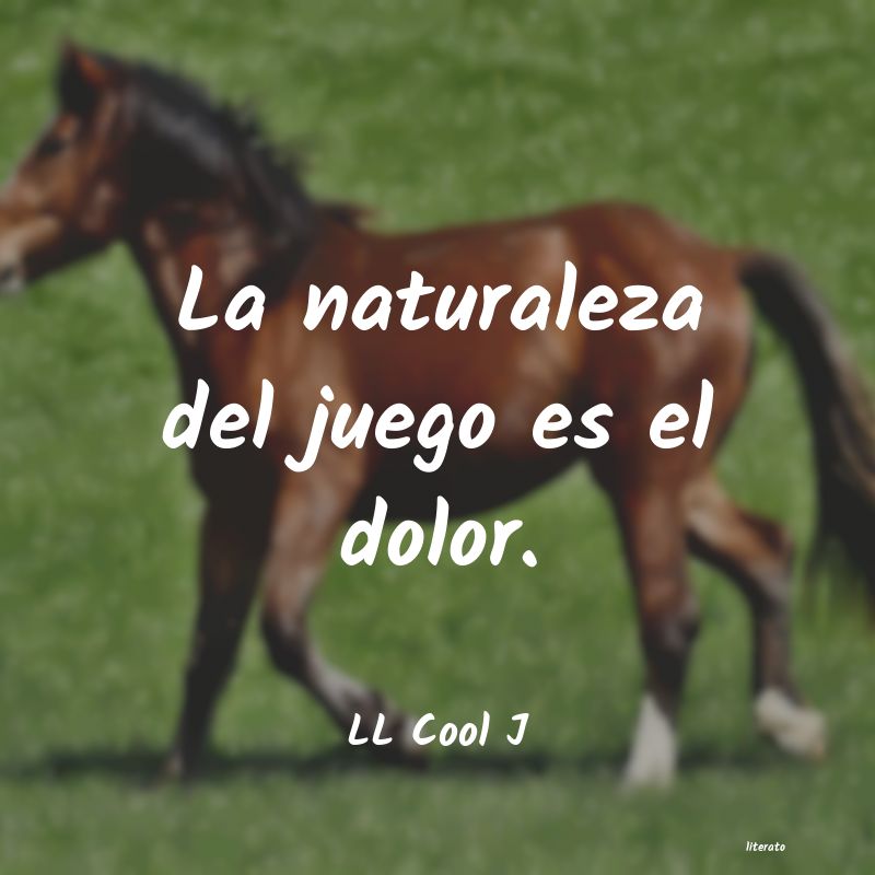 Frases de LL Cool J