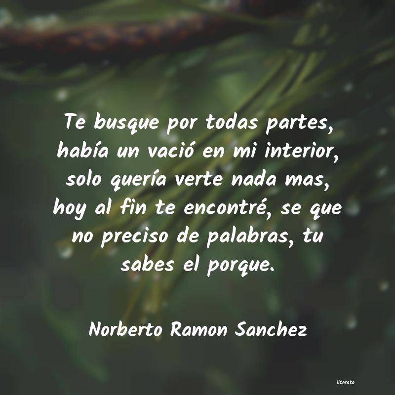 Frases de Norberto Ramon Sanchez