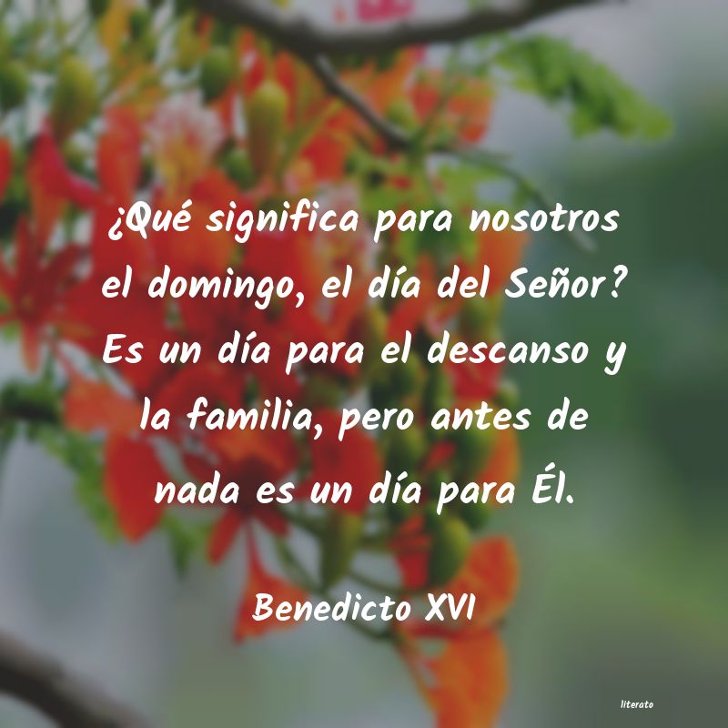 Frases de Benedicto XVI