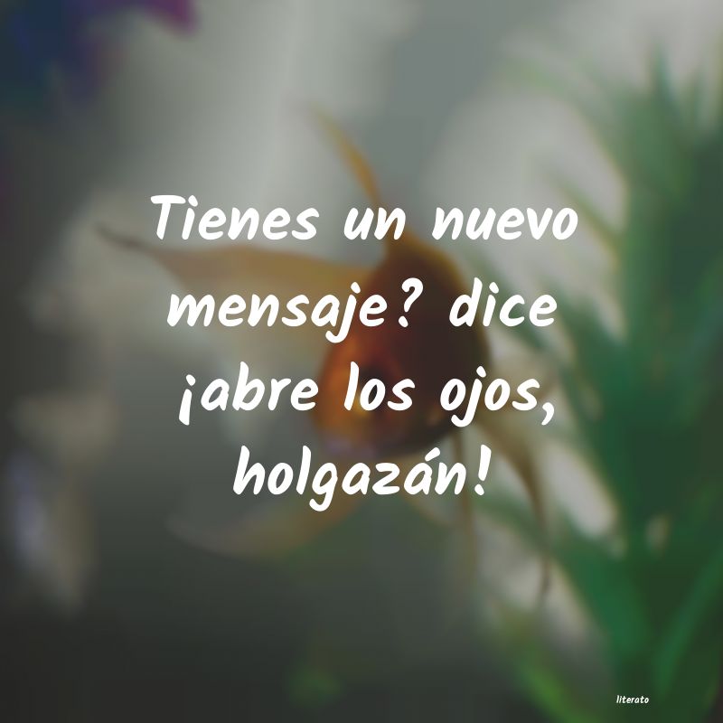 frases