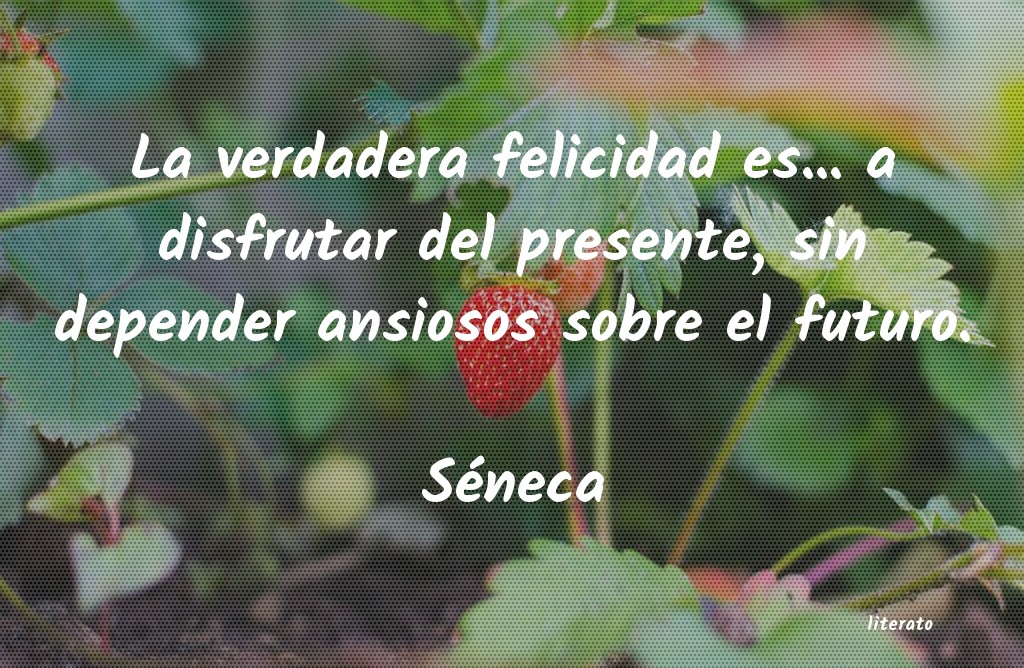 frases de Séneca