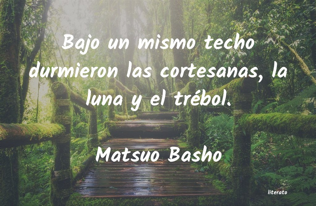 Frases de Matsuo Basho