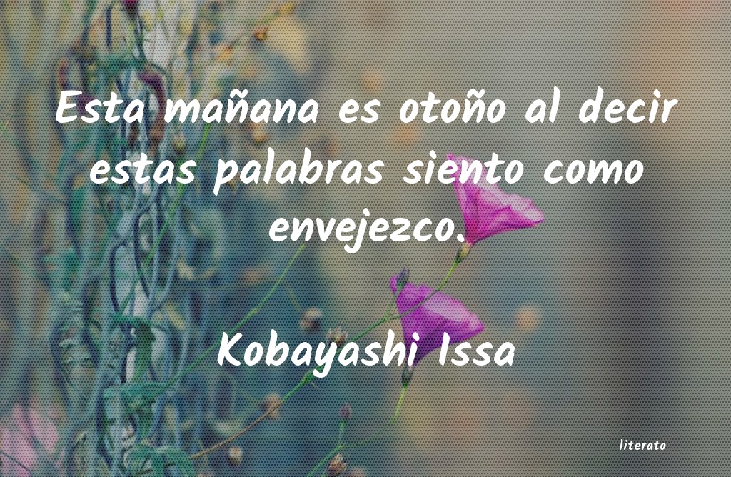 frases de Kobayashi Issa